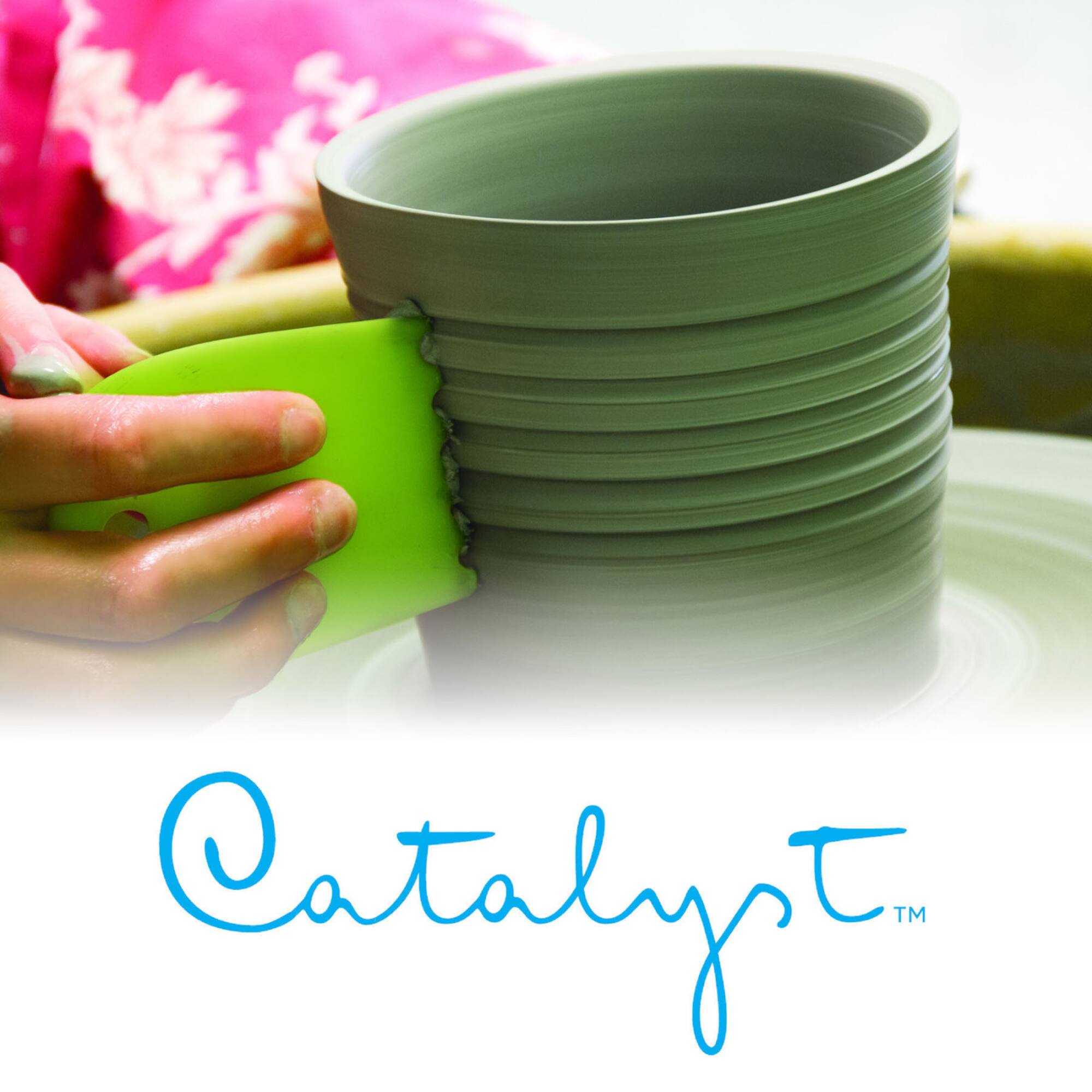 Princeton™ Catalyst™ Silicone Wedge No.4